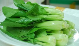 青菜爆料视频大全图片高清,青菜爆料视频大全图片精选回顾