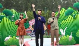 最新黑匣子爆料新闻视频,揭秘事故真相，视频揭示惊人内幕